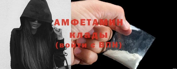 прущие крисы Ельня