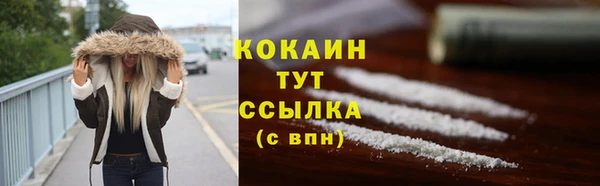 мдпв Елизово