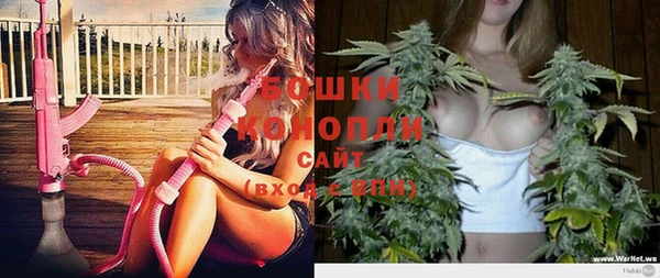 мдпв Елизово