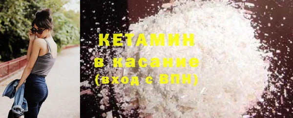 прущие крисы Ельня
