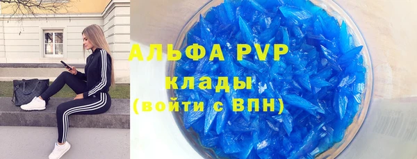 прущие крисы Ельня