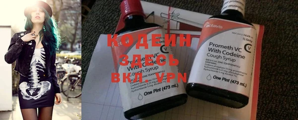 прущие крисы Ельня
